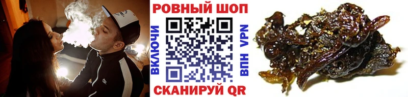 Виды наркотиков купить Гудермес COCAIN  Меф мяу мяу  Гашиш  Каннабис 