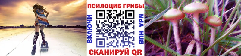 Галлюциногенные грибы прущие грибы закладки Гудермес