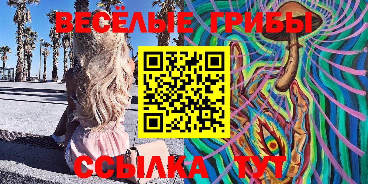 Псилоцибиновые грибы ЛСД Гудермес