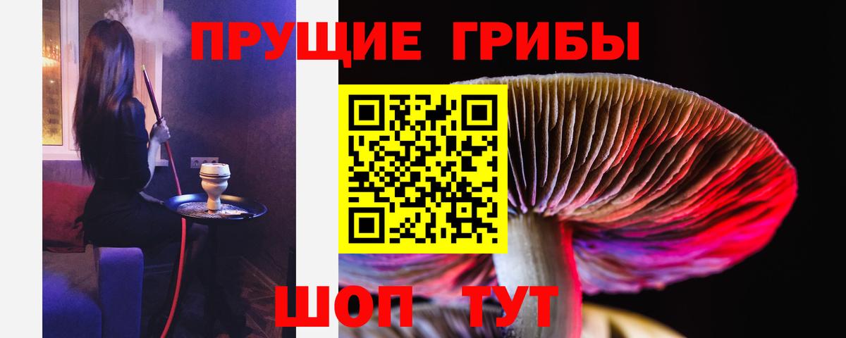 сколько стоит  Вход с VPN  Гудермес  Псилоцибиновые грибы Psilocybine cubensis 